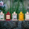 مكونات عطر قوتشي بلوم الجديد الأصلي