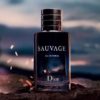 مراجعة عطر سوفاج ديور الأصلي: السعر وأفضل أنواعه