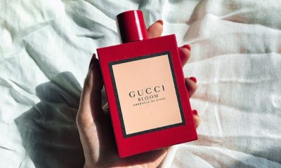 قوتشي بلوم الأحمر Gucci Bloom Ambrosia Di Fiori